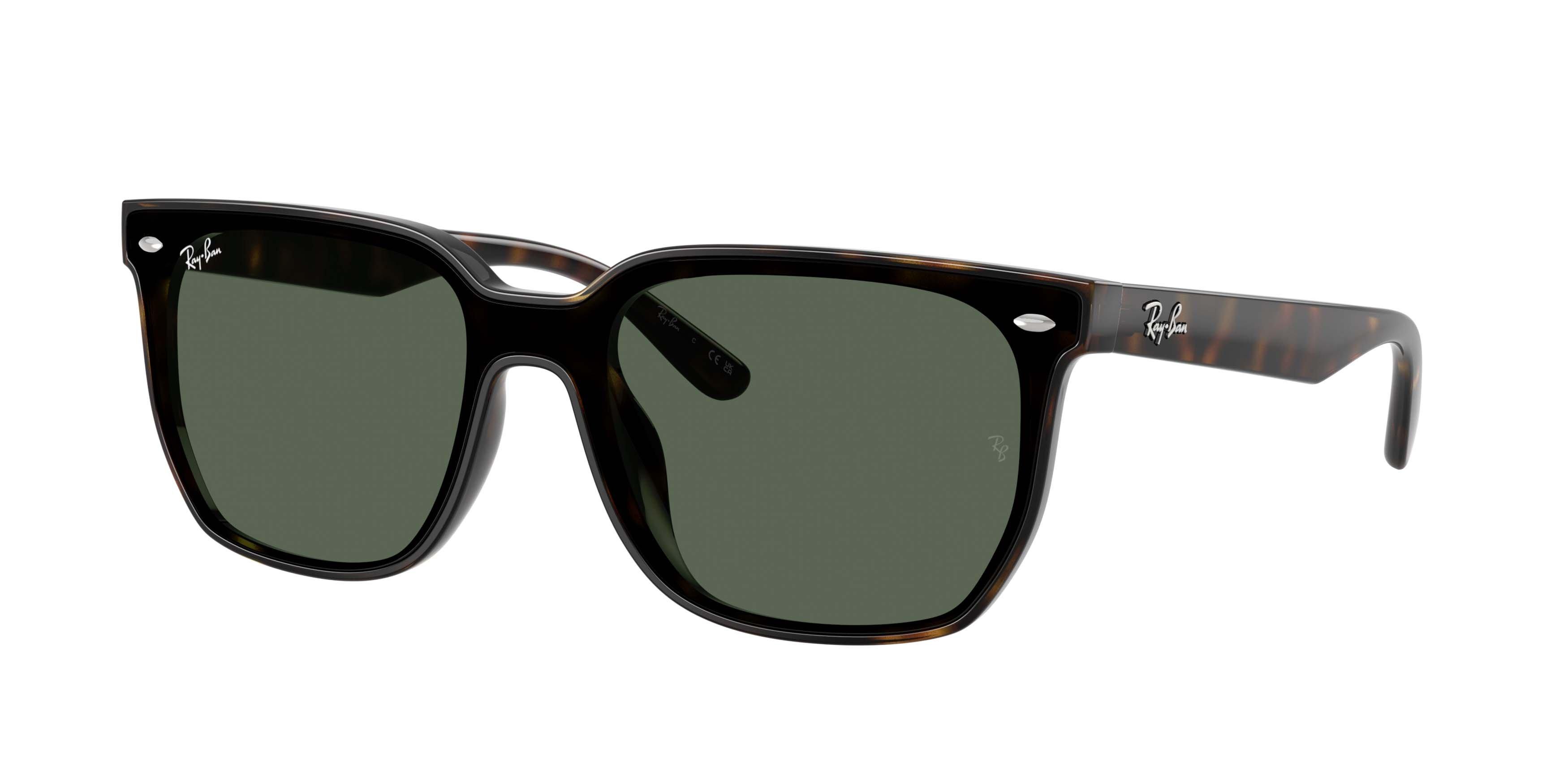Ray-Ban 0RB4466D Dark Green Sunglasses - Havana - BROWN/GREEN